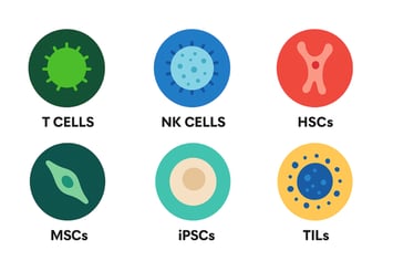 Cell Types at Made Scientific